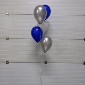 Ballontros (5 Ballonnen, Kleur Naar Keuze)